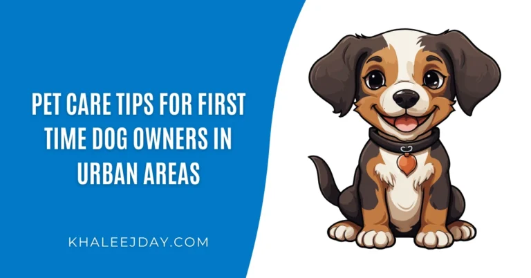 Pet Care Tips for First Time Dog Owners in Urban Areas