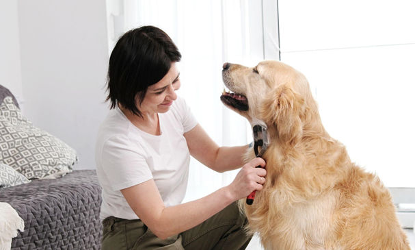 Pet Care