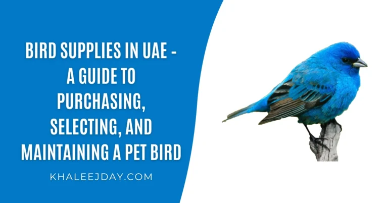 Bird Supplies in UAE – A Guide to Purchasing, Selecting, and Maintaining a Pet Bird