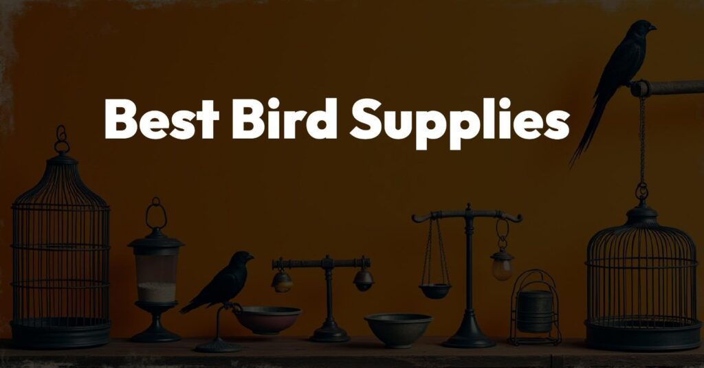 Bird Supplies in UAE – A Guide to Purchasing, Selecting, and Maintaining a Pet Bird