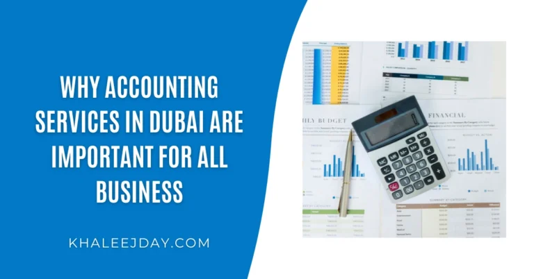 Why Accounting Services in Dubai Are Important for All Business
