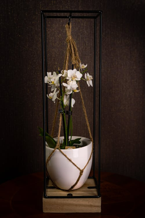 Bouquets in Dubai