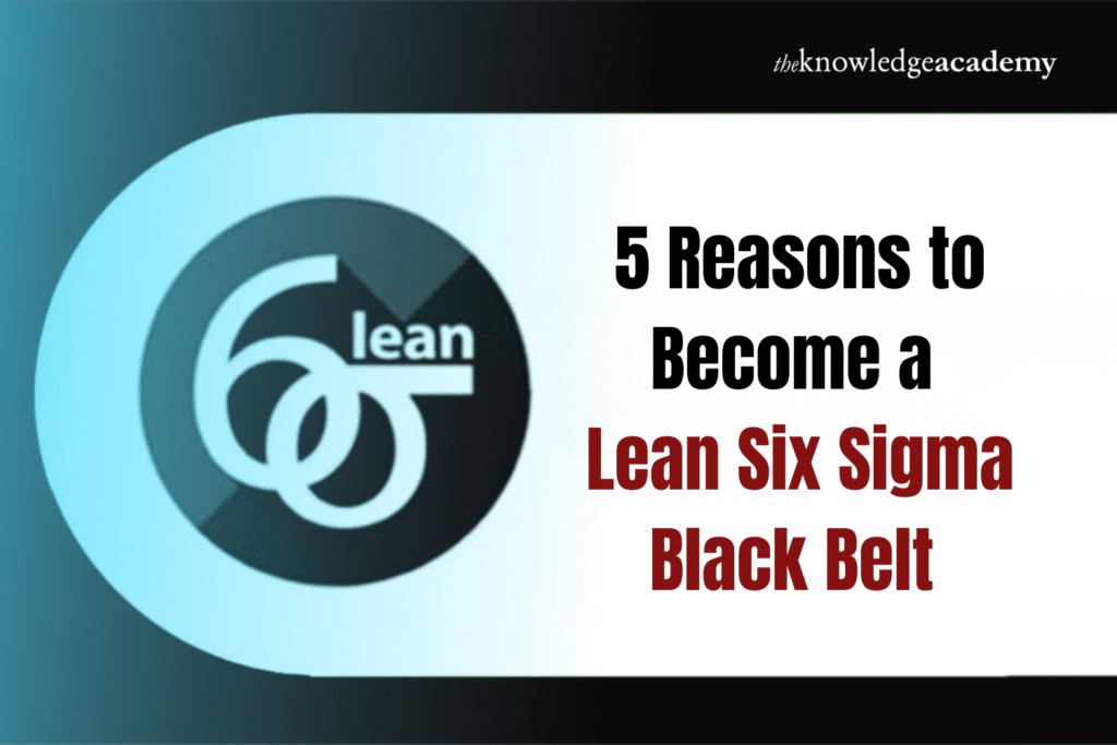 Lean Six Sigma Black Belt