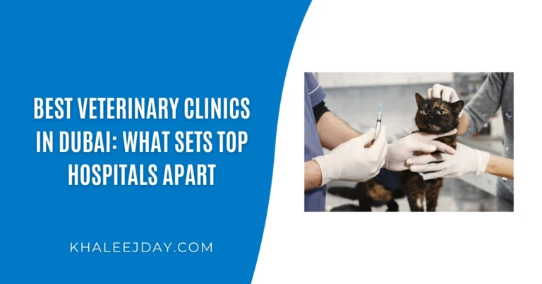 Best Veterinary Clinics in Dubai What Sets Top Hospitals Apart