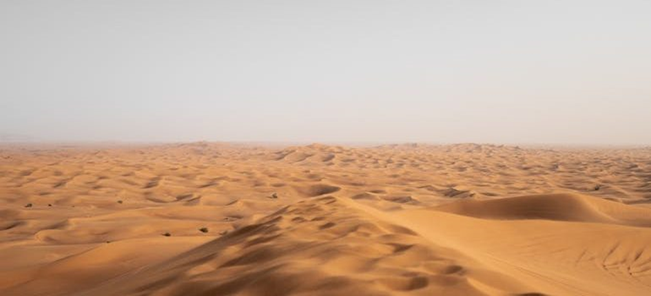 a view of a desert