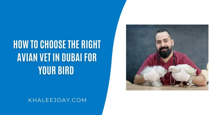 How to Choose the Right Avian Vet in Dubai for Your Bird