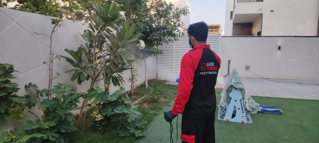 Best Pest Control Abu Dhabi